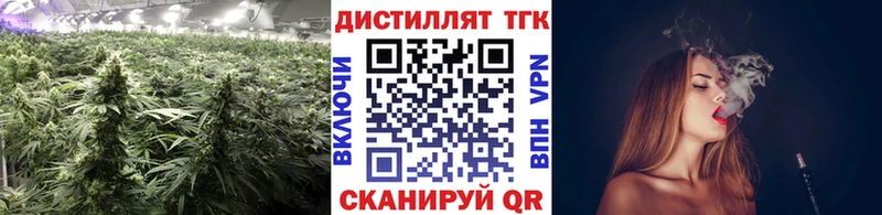 купить наркотик  darknet официальный сайт  Дистиллят ТГК THC oil  Нижняя Салда 